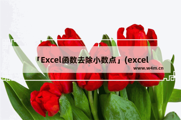 「Excel函数去除小数点」(excel函数去除小数点后两位)