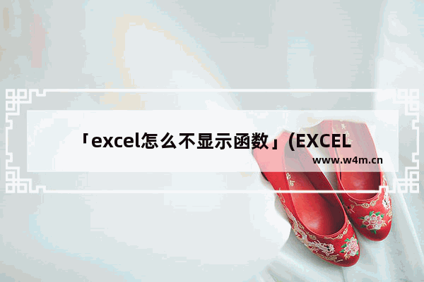 「excel怎么不显示函数」(EXCEL怎么不显示函数公式)