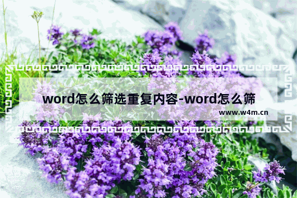 word怎么筛选重复内容-word怎么筛选重复内容统一修改