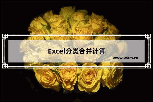 Excel分类合并计算