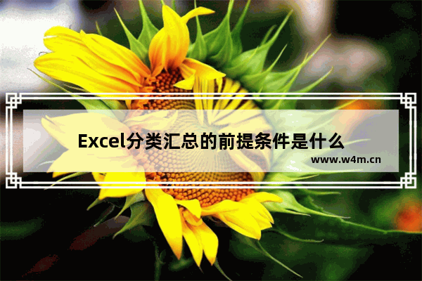 Excel分类汇总的前提条件是什么