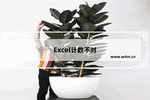 Excel计数不对