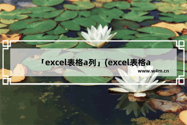 「excel表格a列」(excel表格a列减b列)