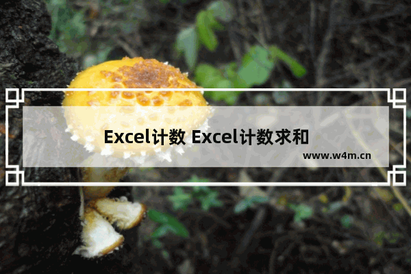 Excel计数 Excel计数求和