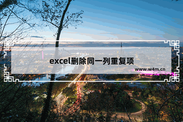 excel删除同一列重复项