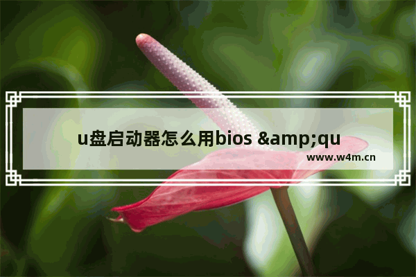 u盘启动器怎么用bios "使用BIOS如何进行U盘启动"