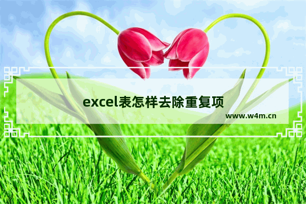 excel表怎样去除重复项