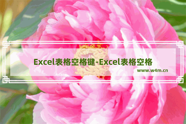 Excel表格空格键-Excel表格空格键确认