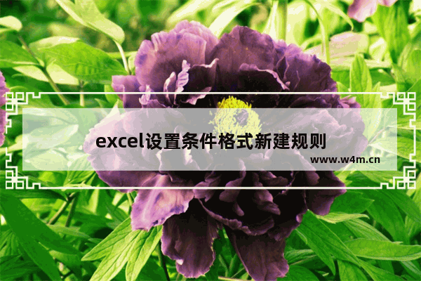 excel设置条件格式新建规则