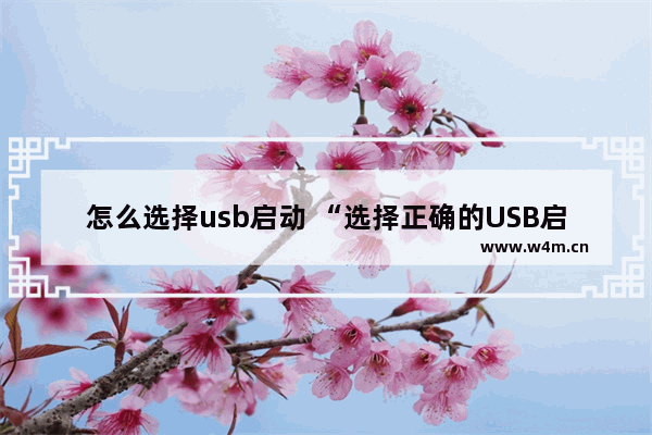 怎么选择usb启动 “选择正确的USB启动方法”