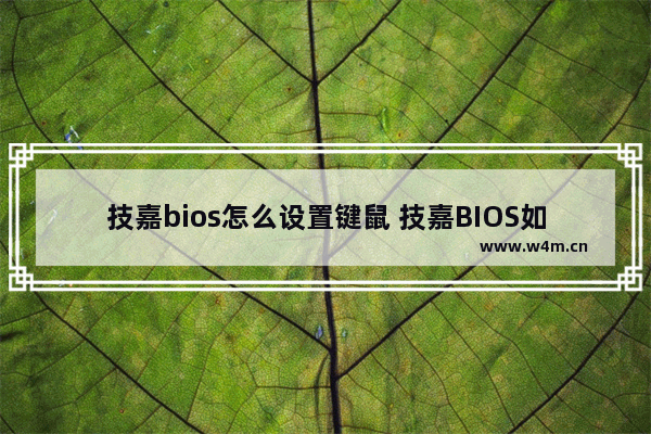 技嘉bios怎么设置键鼠 技嘉BIOS如何设置鼠标和键盘？