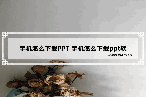 手机怎么下载PPT 手机怎么下载ppt软件及安装