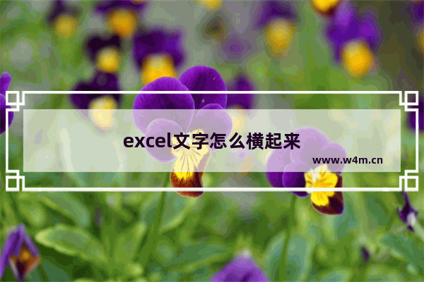 excel文字怎么横起来