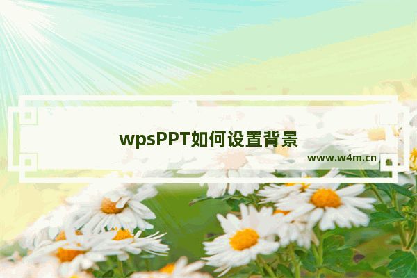 wpsPPT如何设置背景