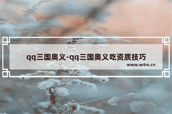 qq三国奥义-qq三国奥义吃资质技巧