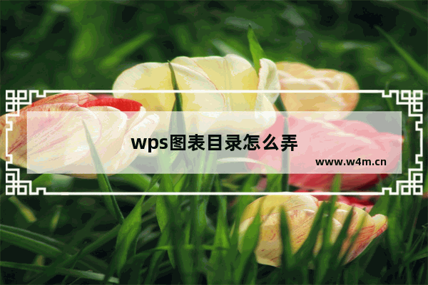 wps图表目录怎么弄