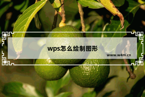 wps怎么绘制图形