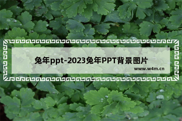 兔年ppt-2023兔年PPT背景图片