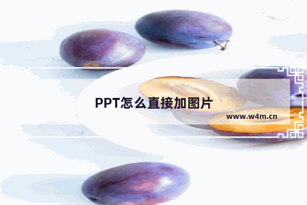 PPT怎么直接加图片