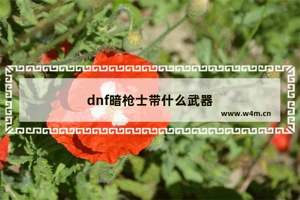 dnf暗枪士带什么武器