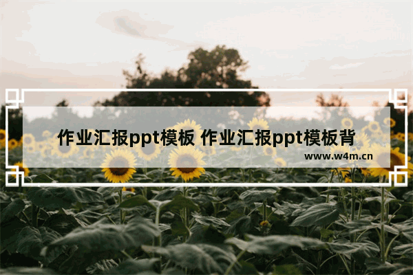 作业汇报ppt模板 作业汇报ppt模板背景图