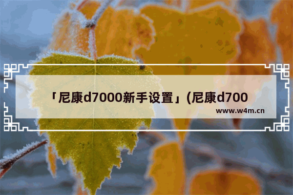 「尼康d7000新手设置」(尼康d7000新手设置参数)