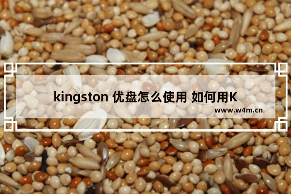 kingston 优盘怎么使用 如何用Kingston U盘？