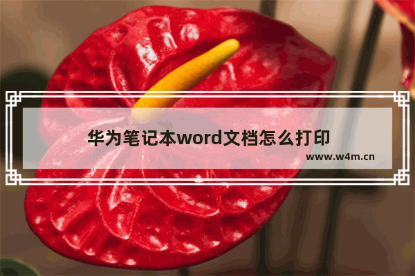 华为笔记本word文档怎么打印