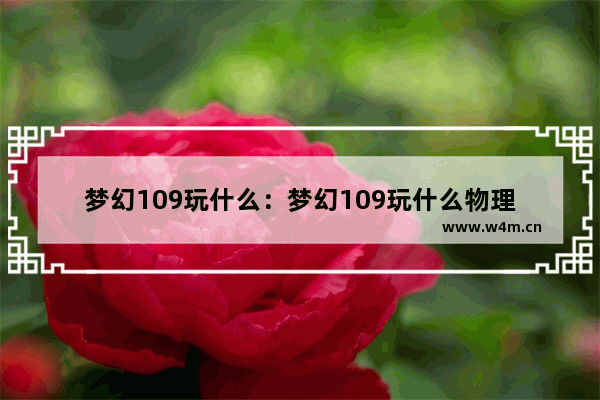 梦幻109玩什么：梦幻109玩什么物理