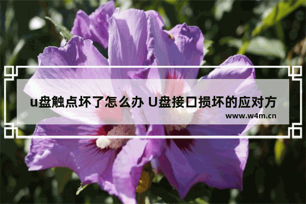 u盘触点坏了怎么办 U盘接口损坏的应对方案