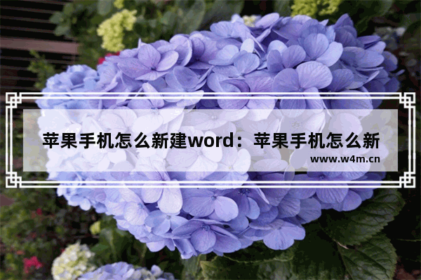 苹果手机怎么新建word：苹果手机怎么新建word文档