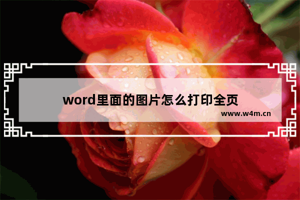 word里面的图片怎么打印全页