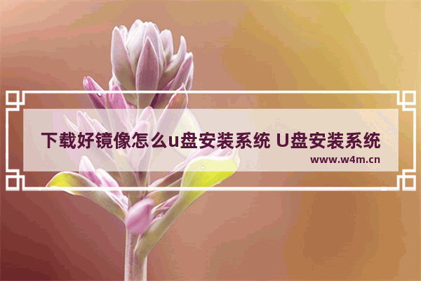 下载好镜像怎么u盘安装系统 U盘安装系统：镜像下载后的操作指南