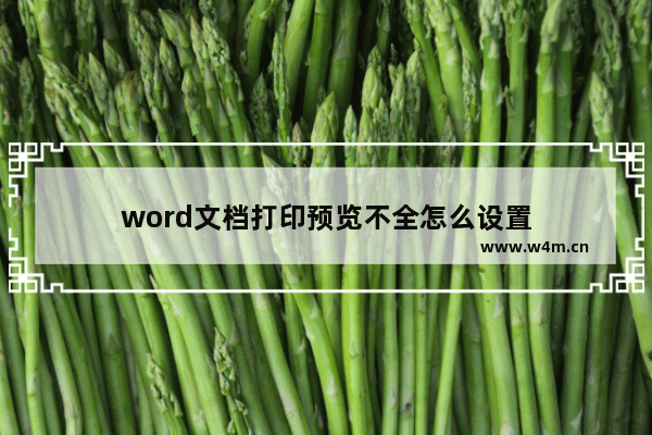 word文档打印预览不全怎么设置