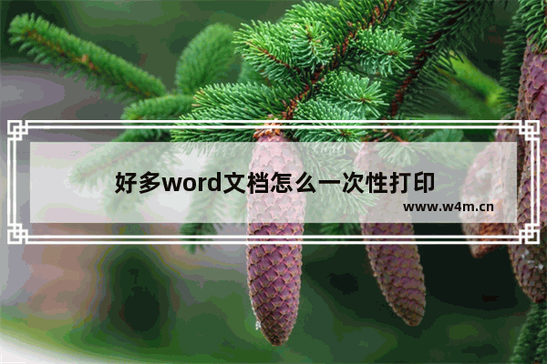 好多word文档怎么一次性打印