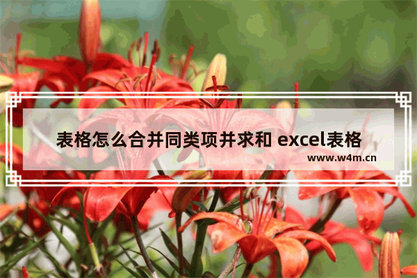 表格怎么合并同类项并求和 excel表格怎么合并同类项并求和