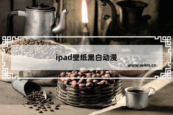 ipad壁纸黑白动漫