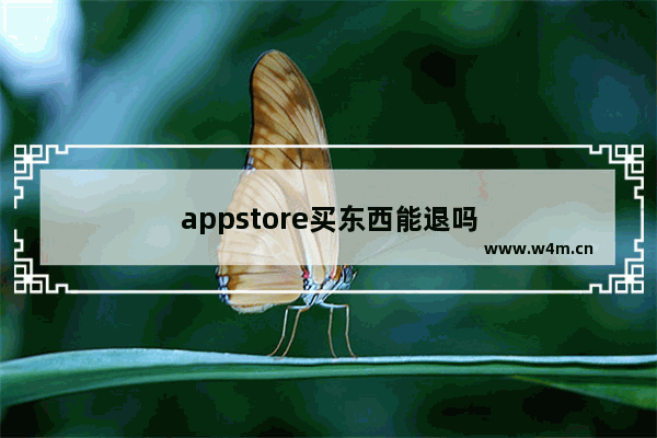 appstore买东西能退吗