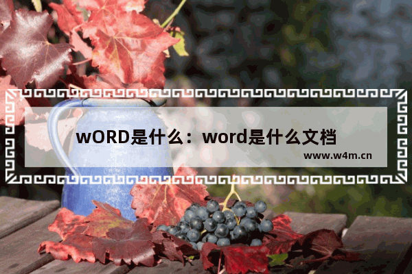 wORD是什么：word是什么文档