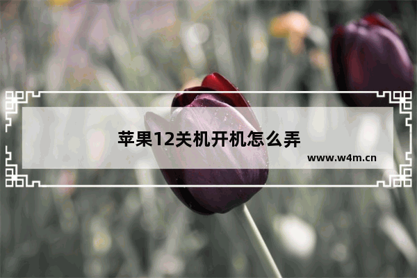 苹果12关机开机怎么弄