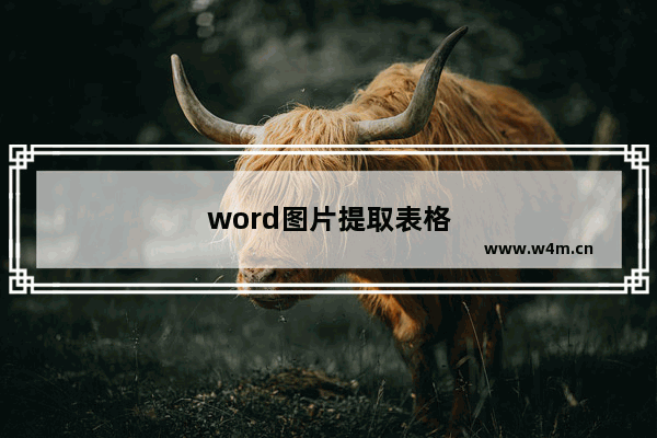 word图片提取表格