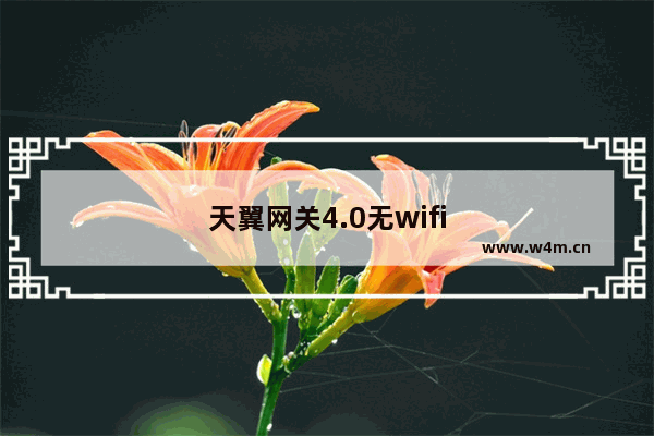 天翼网关4.0无wifi