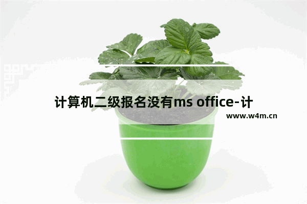 计算机二级报名没有ms office-计算机二级报名没有ms office选项