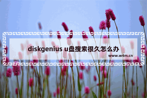 diskgenius u盘搜索很久怎么办 diskgenius如何加速U盘搜索？