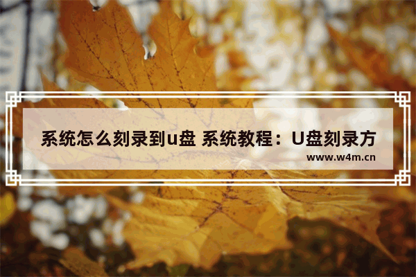 系统怎么刻录到u盘 系统教程：U盘刻录方法详解