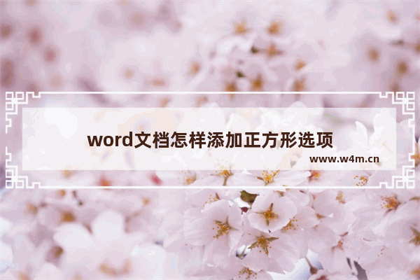 word文档怎样添加正方形选项