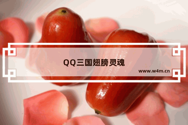 QQ三国翅膀灵魂