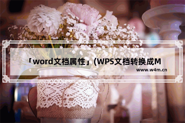 「word文档属性」(WPS文档转换成Microsoft word文档属性变了吗)