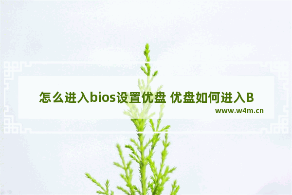 怎么进入bios设置优盘 优盘如何进入BIOS设置