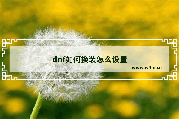 dnf如何换装怎么设置